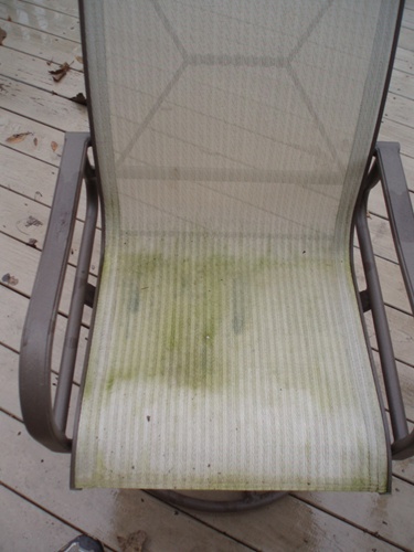 How to Clean and Remove Mold &amp; Mildew from Outdoor Patio 